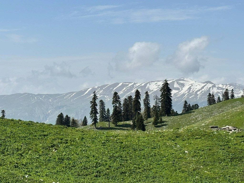 МАМЗЫШХА - ДОРОГА НАД ОБЛАКАМИ 🏔 — фото 3