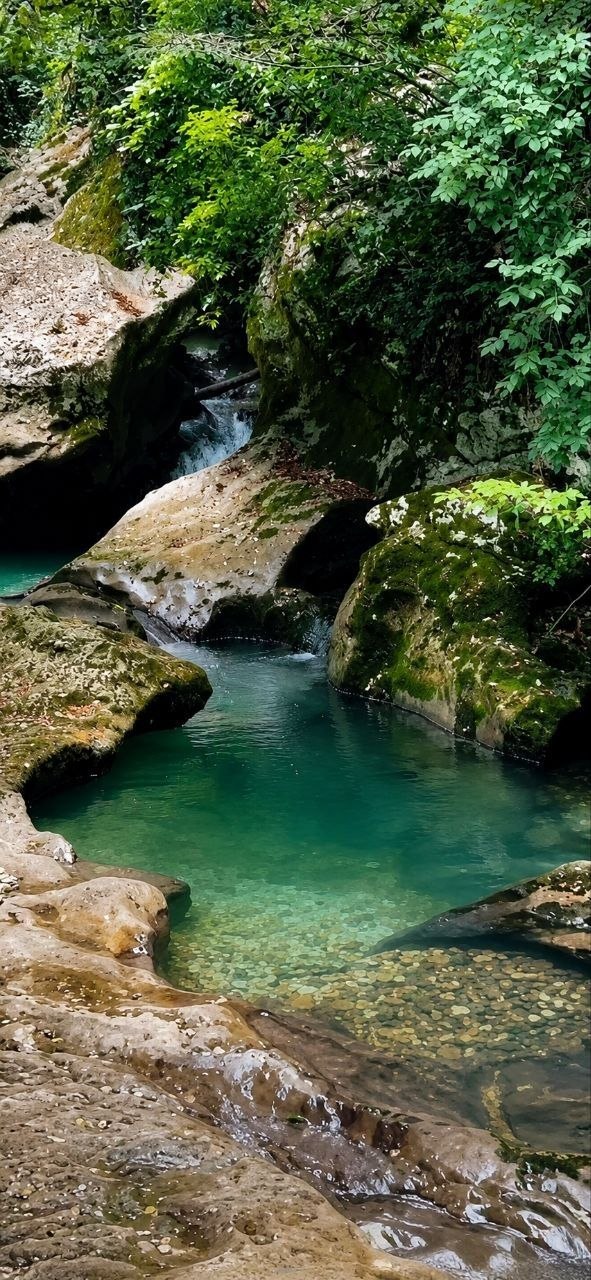 СУХУМ + ЧЕРНИГОВКА + ИСТОЧНИК КЫНДЫГ ♨️ — фото 3